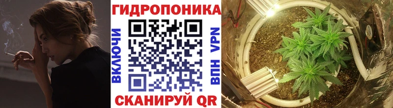 купить  сайты  блэк спрут tor  даркнет как зайти  Каменск-Шахтинский  Бошки марихуана тримм 